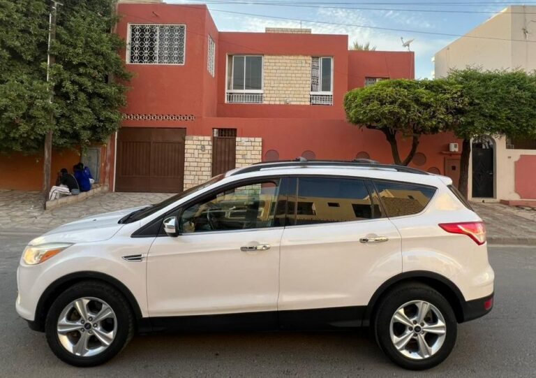 WhatsApp Image 2026-01-03 at 12.08.46